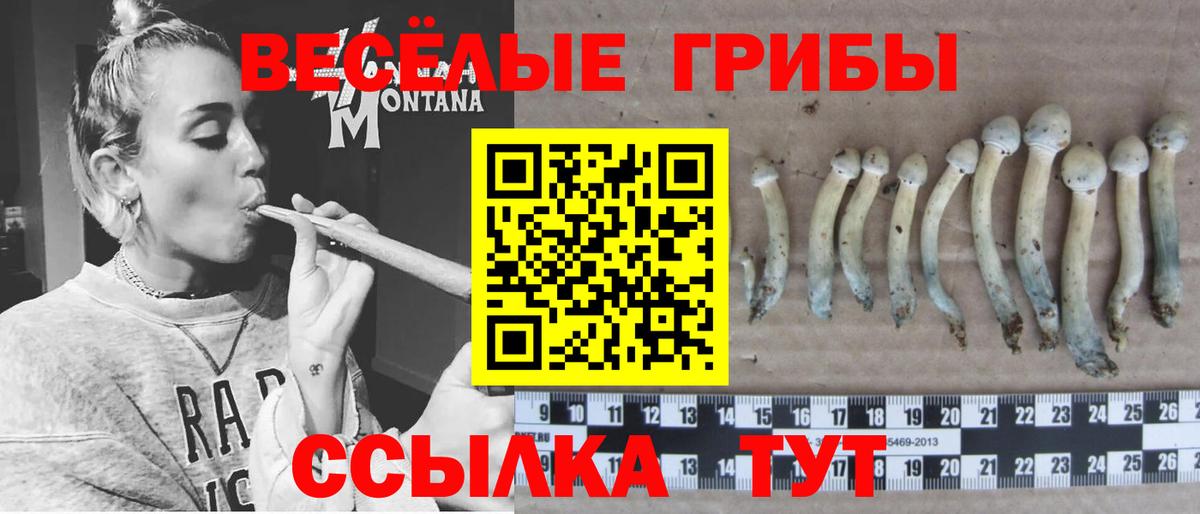 Нарткала  Псилоцибиновые грибы ЛСД  Галлюциногенные грибы Psilocybe  Вход с VPN 